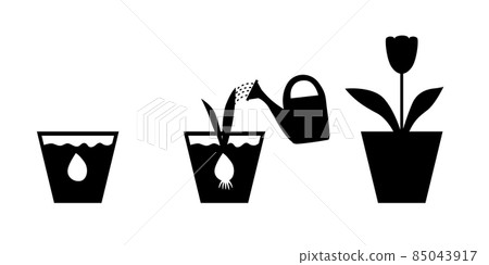 Sprouts tulips set with bulbs in flowerpot 85043917