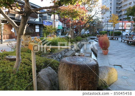 Tatsumi's garden where you can see Matsumoto, the town of spring water Tatsumi's garden where you can see Matsumoto, the town of spring water 85045458