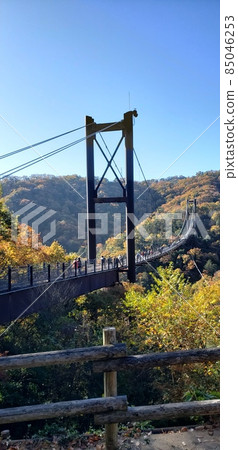 Hoshi no Buranko Hoshida Park 大阪府立森林 Hoshi no Buranko Hoshida Park 大阪府立森林 85046253