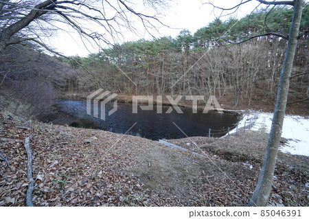 Numata City, Gunma Prefecture Miminenuma on the way to Mt. Mimine from Kawachi Shrine Numata City, Gunma Prefecture Miminenuma on the way to Mt. Mimine from Kawachi Shrine 85046391