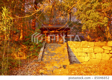 熊野神社(筑波市北條) 熊野神社(筑波市北條) 85046852