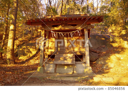 Kumano Shrine (Hojo, Tsukuba City) 85046856