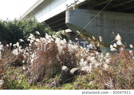 懸浮的景觀 85047911
