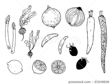 Hand-painted parts set of various vegetables with a rough touch like writing with ink with a white background 85049606