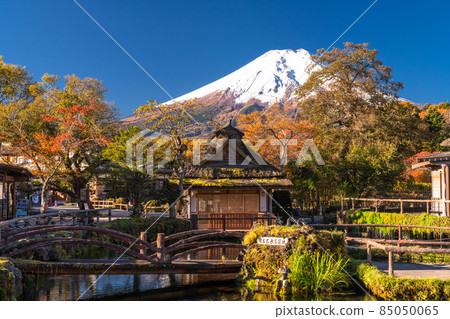 《山梨縣》 秋天的富士山,秋天的落葉忍野八海 《山梨縣》 秋天的富士山,秋天的落葉忍野八海 85050065