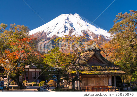 《山梨縣》 秋天的富士山，秋天的落葉忍野八海 85050076