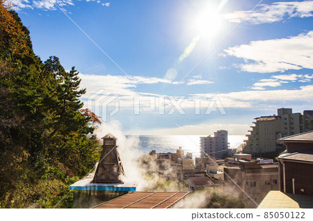 東伊豆的海濱溫泉小鎮伊豆熱川溫泉 85050122