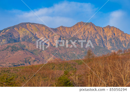 八嶽山秋葉影像素材 八嶽山秋葉影像素材 85050294