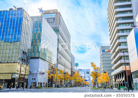 Osaka Prefecture Autumn Midosuji ginkgo trees and luxury boutique district 85050378
