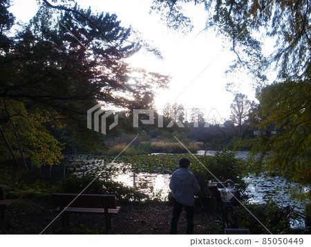 Zenfukuji Park 85050449