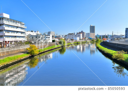 蓮橋 / 從新石川下游看（東京都板橋區） [2021.11] 85050593