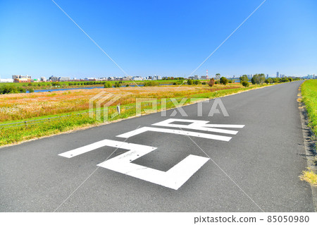 Looking downstream from the 27km point from the right bank of Arakawa / estuary (Itabashi-ku, Tokyo) [2021.11] 85050980