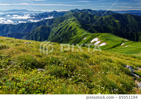 從伊藤山眺望的朝日山脈主脊線 85051194