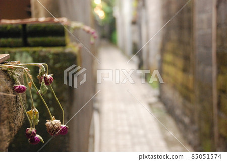 Back alley (Ubud / Bali / Indonesia) Back alley (Ubud / Bali / Indonesia) 85051574