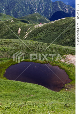 夏日旭山脊線上的池潭和狐狸洞小屋 夏日旭山脊線上的池潭和狐狸洞小屋 85051995