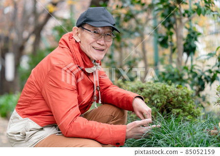 Senior male hobby gardening Senior male hobby gardening 85052159