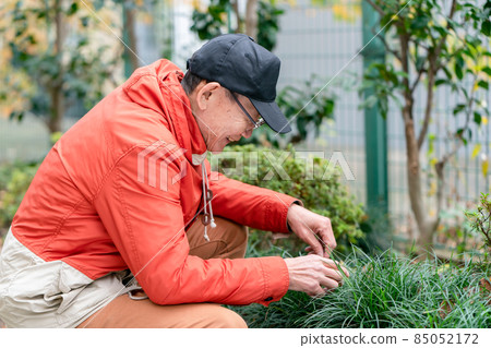 Senior male hobby gardening Senior male hobby gardening 85052172