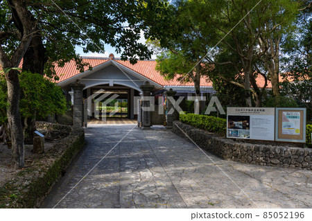 Himeyuri Peace Memorial Museum 85052196