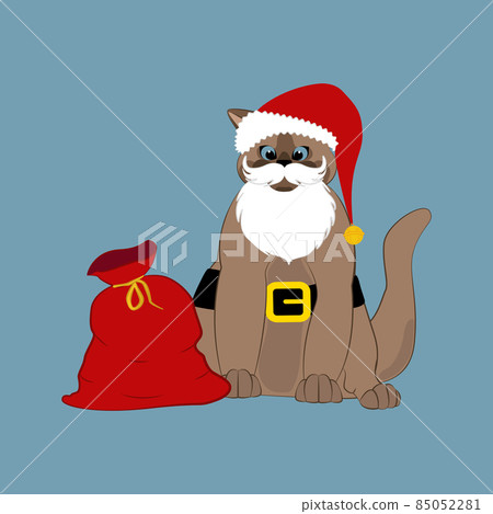 Cat in santa claus hat and bag Cat in santa claus hat and bag 85052281