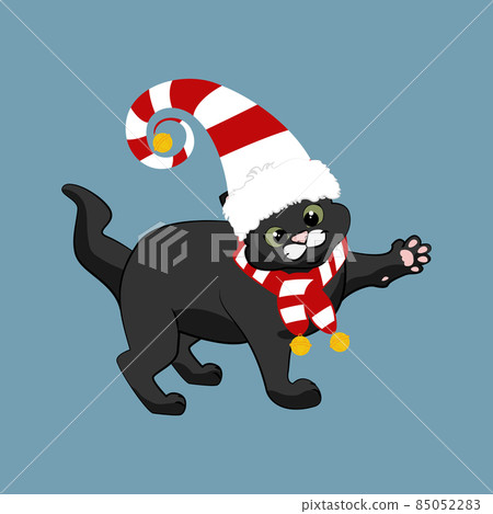 Cat in christmas holiday hat and scarf Cat in christmas holiday hat and scarf 85052283