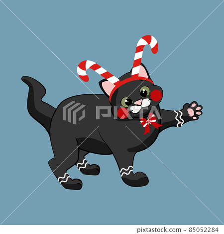 Cat in christmas hat with candy cane Cat in christmas hat with candy cane 85052284