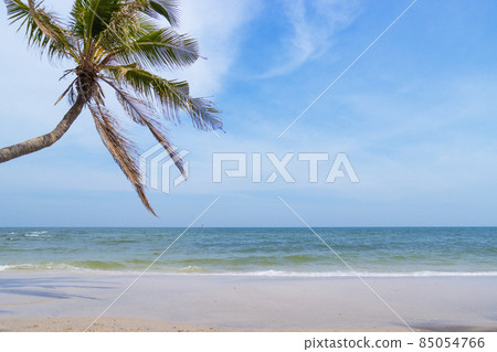 Landscapes View The atmosphere is beautiful coconut tree with Sand and sea Beach of Thailand. Landscapes View The atmosphere is beautiful coconut tree with Sand and sea Beach of Thailand. 85054766