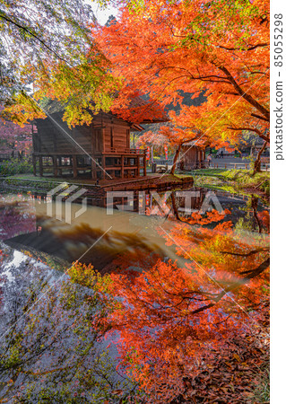 中尊寺紅葉弁財天堂（岩手縣平泉町） 85055298