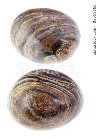 set of stromatolite (stromatolith) stones cutout 85055860