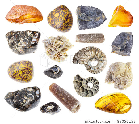 set of various fossilised stones cutout on white set of various fossilised stones cutout on white 85056155