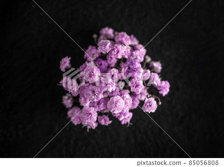 Studio shot of flower on black background. View above. 85056808