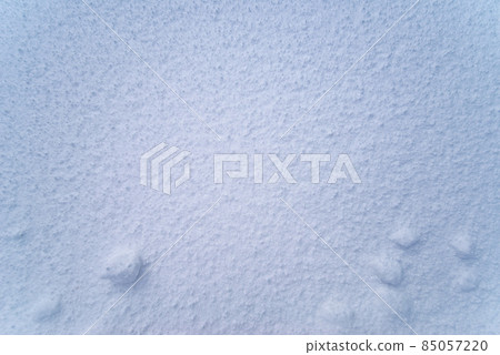 Snow / white background (fresh snow / texture) 85057220