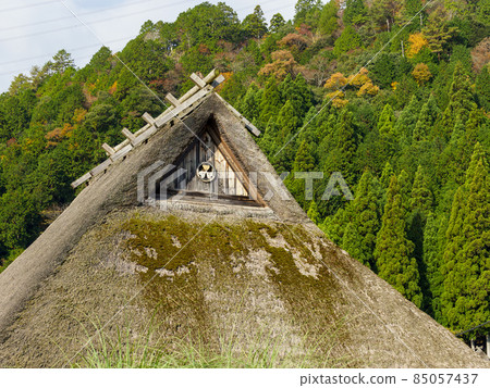 Thatched roof and black kite Thatched roof and black kite 85057437