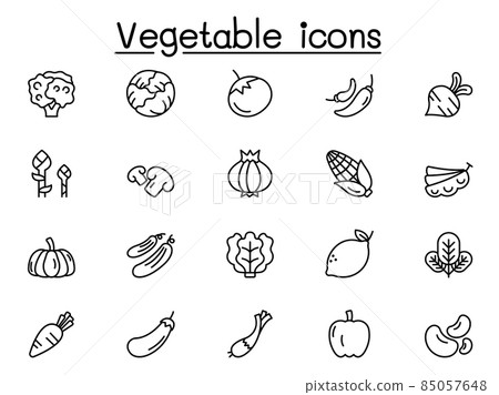 Vegetable icons set in thin line style - Stock Illustration [85057648 ...