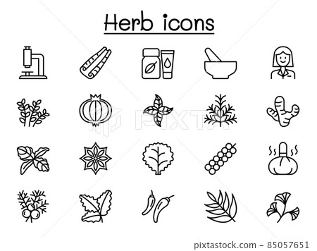 Herb icons set in thin line style 85057651