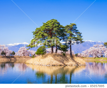 Spring Shinshu Takato cherry blossom landscape 85057895