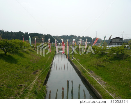 千葉縣市原市北部瀨田地區清澈的村田川上掛著鯉魚旗。 85058254
