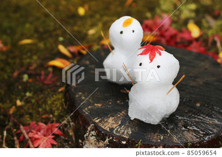 樹樁和可愛的雪人穿著秋葉 85059654