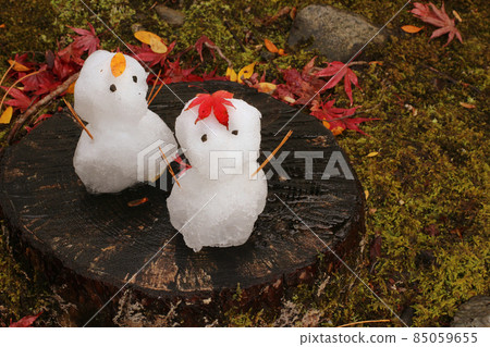 樹樁和可愛的雪人穿著秋葉 85059655
