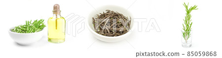 Set of rosemary isolated on a white background Set of rosemary isolated on a white background 85059868