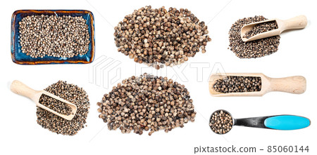 set of monk's pepper (Vitex) cutout on white 85060144