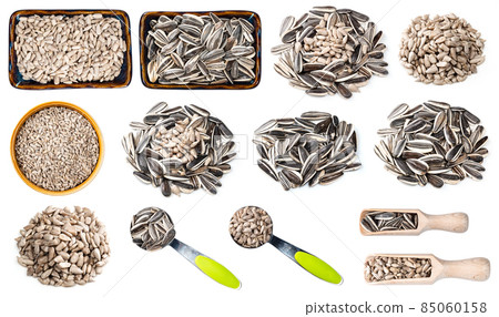 set of various sunflower seeds cutout on white 85060158