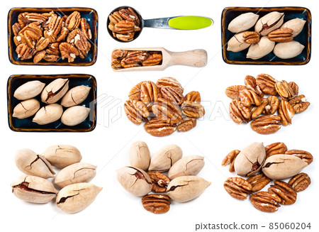 set of various pecan nuts cutout on white 85060204