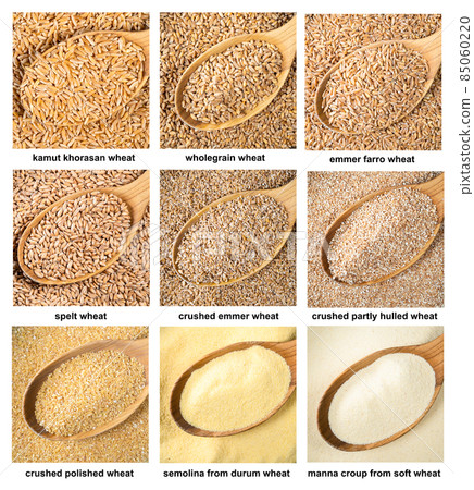 set of various wheat grains in wood spoons closeup 85060220