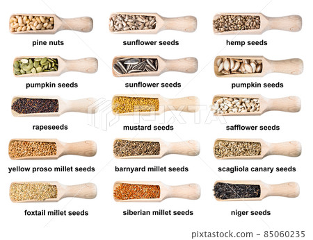 set of wood scoops with various seeds with names set of wood scoops with various seeds with names 85060235