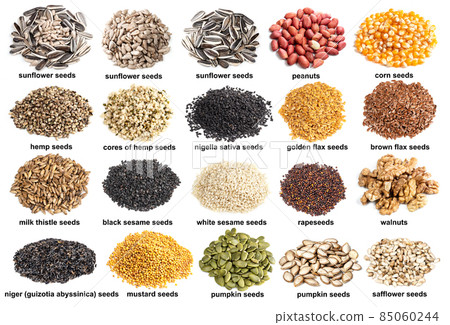set of piles of variuos oil seeds cutout on white 85060244