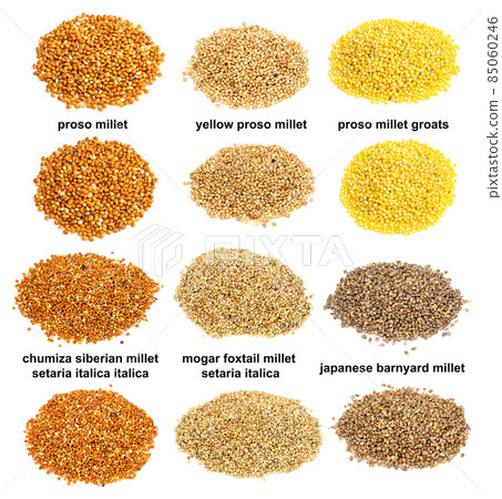 set of piles of variuos millet grains cutout 85060246