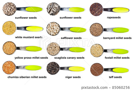 measuring tablespoons with various seeds cutout measuring tablespoons with various seeds cutout 85060256