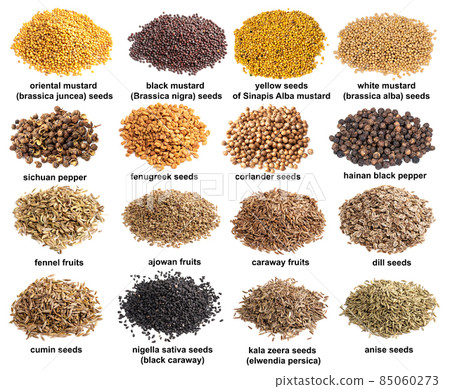 set of piles of variuos spicy seeds cutout 85060273
