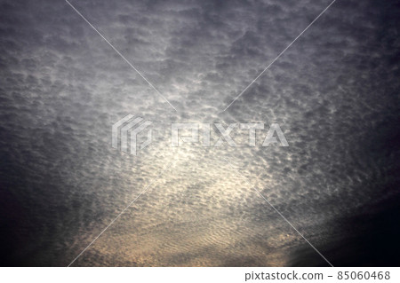 I don't know the name of the cloud, but the scaly clouds in the evening sky make me uneasy. Before long the light fades and disappears I don't know the name of the cloud, but the scaly clouds in the evening sky make me uneasy. Before long the light fades and disappears 85060468