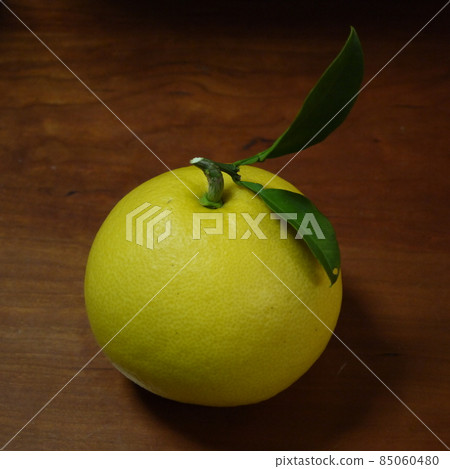 柚子 85060480